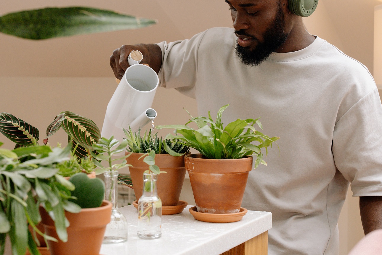 Plant Sitters - Here to Water Your Plants On Your Vacation