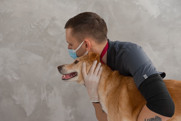 Animal Behaviorist Handling Dog