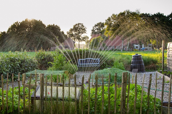 Example of an Automatic Watering System Setup