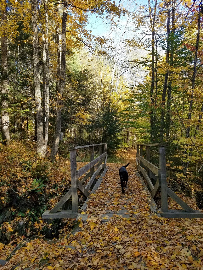 Bridge in Stowe Vermont
