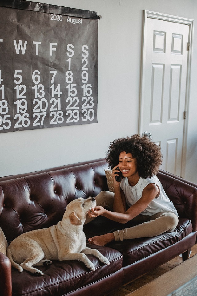 Pet Comfortable at Own Home