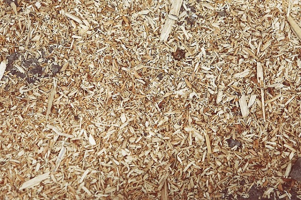 Shredded Wood Chips are a good mulch